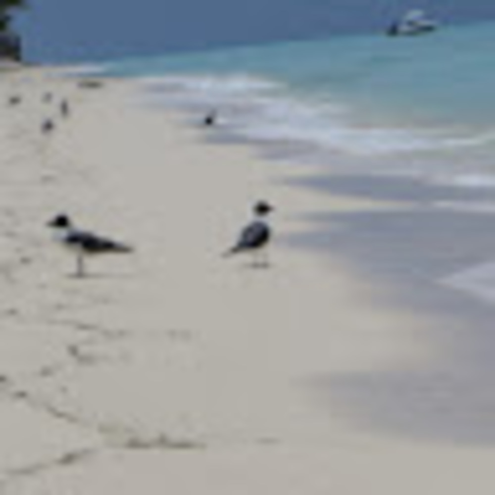 Meet your Posher, Athene